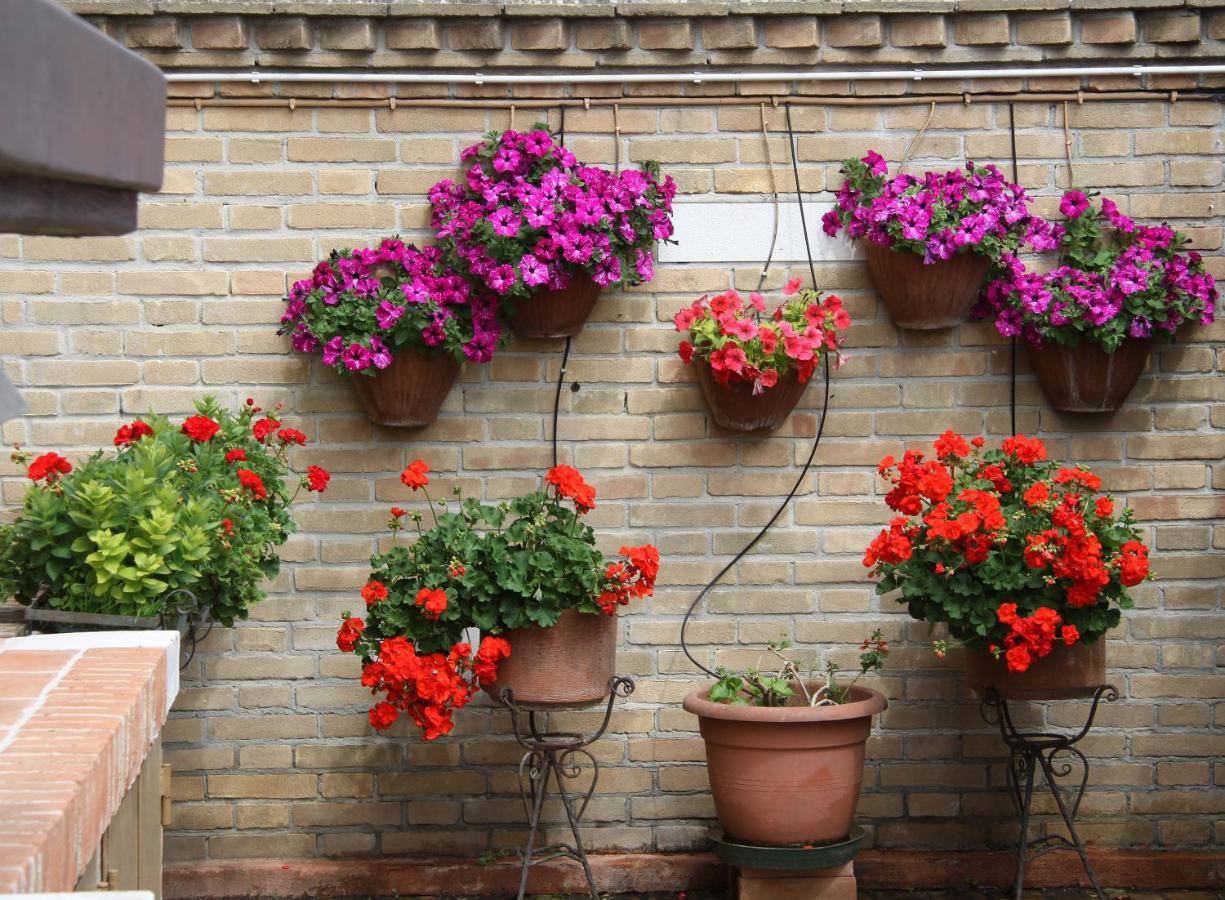 Murano Garden House Apartment Екстериор снимка